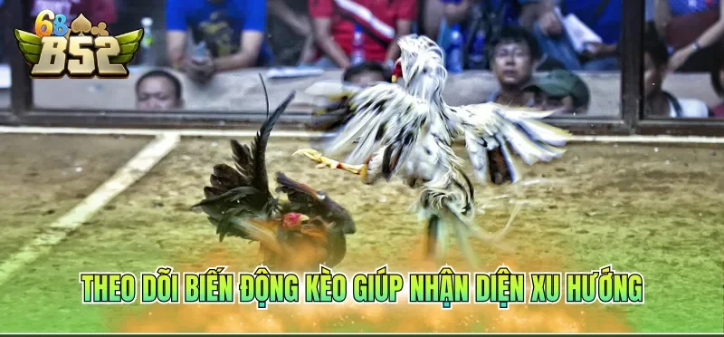 Đá Gà Trực Tiếp Hôm Nay B52CLUB Dễ Dàng Theo Dõi Mỗi Ngày 4 Theo dõi biến động kèo giúp nhận diện xu hướng